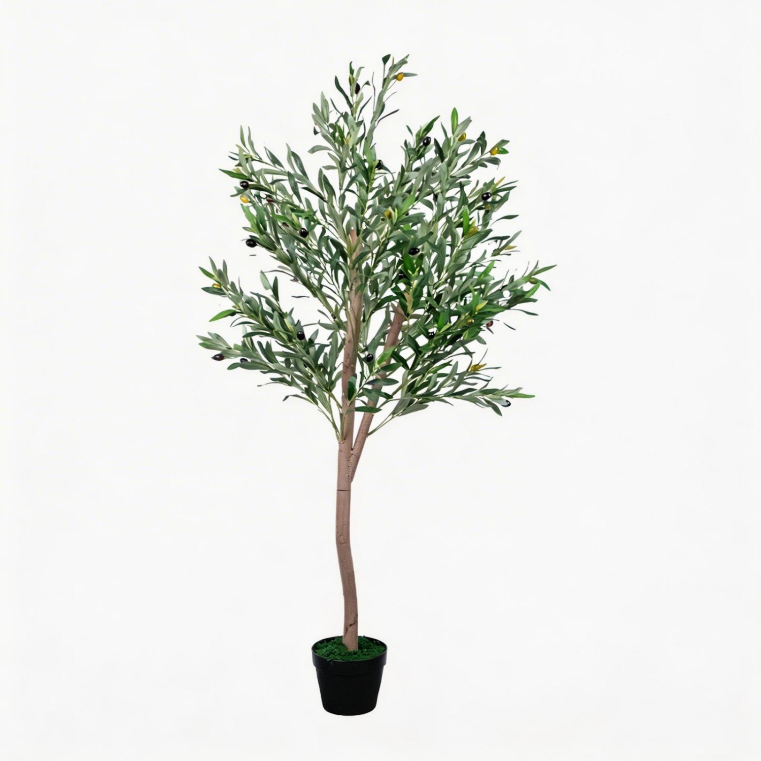 Kunstmatige olijfboom 1,5m, ku - Dracaena Marginata recensie en prijs