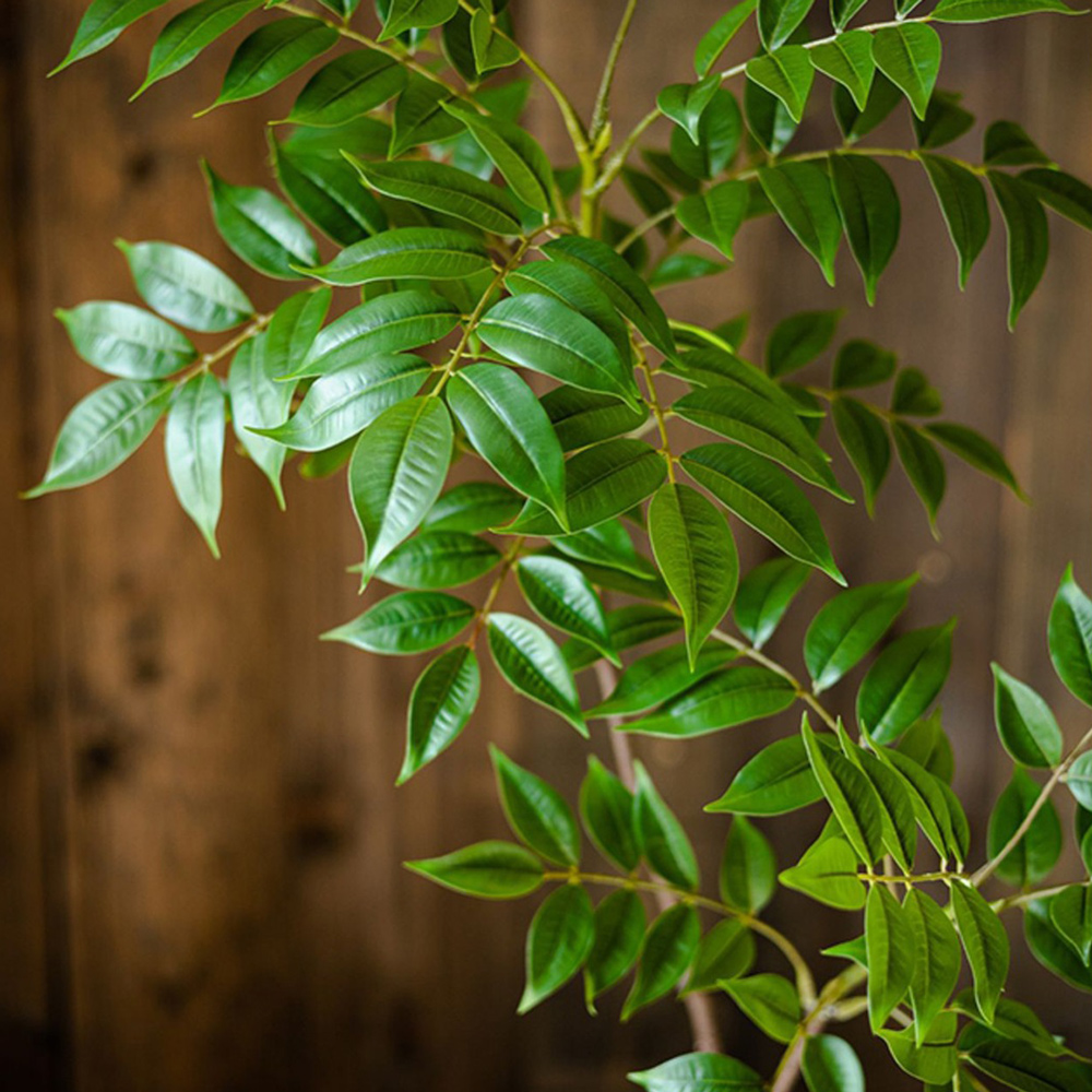 76-140 cm Grote Kunstmatige Fi - Ficus Lyrata Tree recensie en prijs