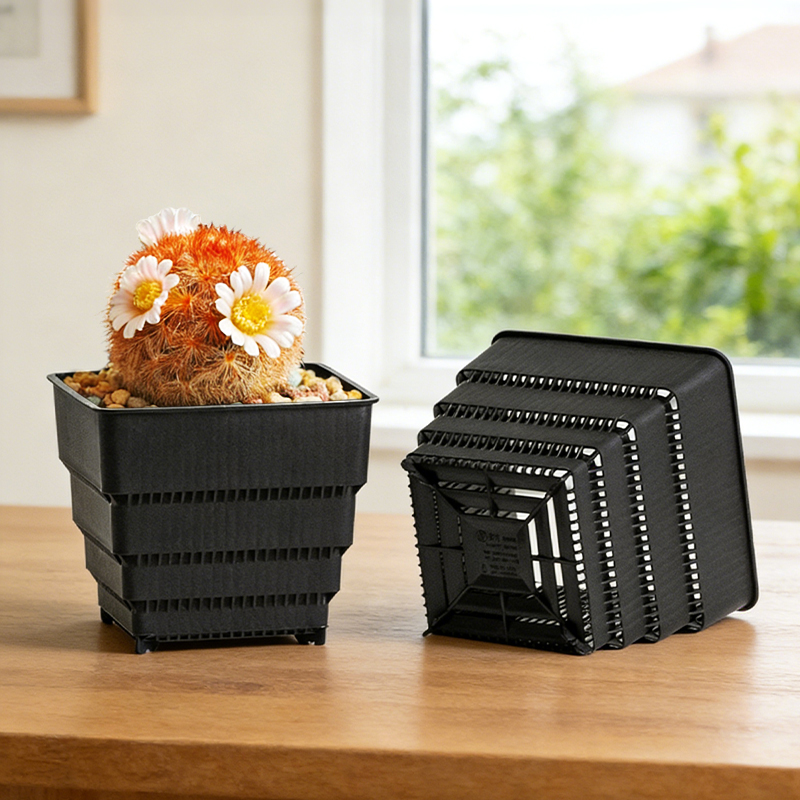 MESHPOT 6-pack vierkante potte - Echeveria Succulent recensie en prijs
