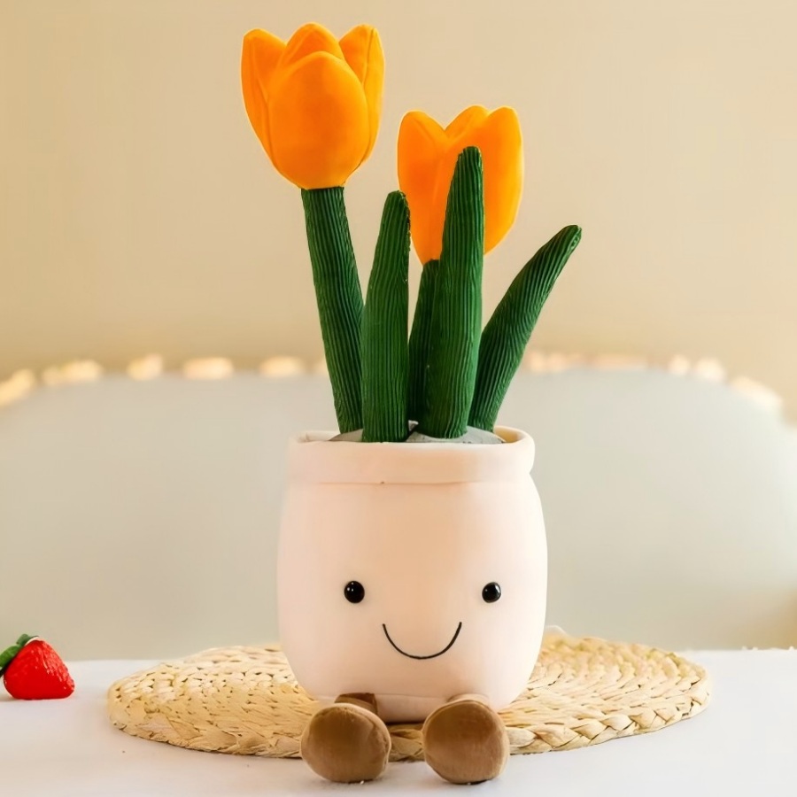 @@Levensechte Tulp Vetplanten  - Echeveria Succulent recensie en prijs
