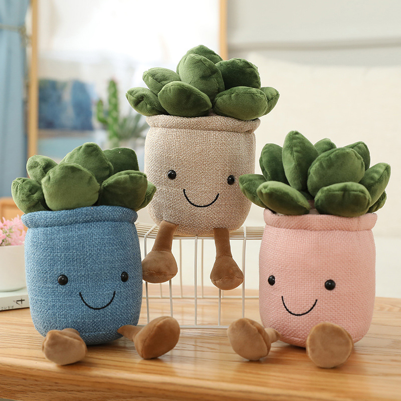 @@Levensechte Tulp Vetplanten  - Echeveria Succulent recensie en prijs