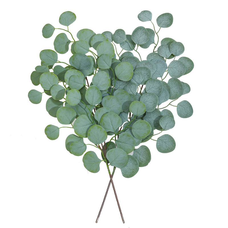 Eucalyptus Blad Wijnstok Kunst - Dracaena Marginata recensie en prijs