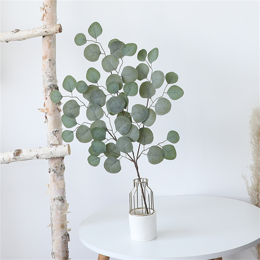 Eucalyptus Blad Wijnstok Kunst - Dracaena Marginata recensie en prijs