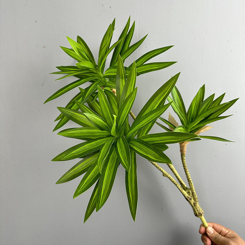 Gesimuleerde groene planten 3  - Dracaena Marginata recensie en prijs
